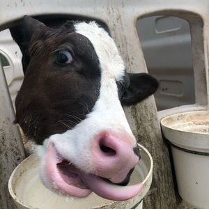 Meet your Posher, Kendall